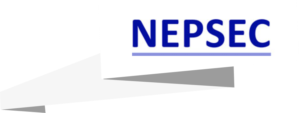 Nepsec NHS Logo